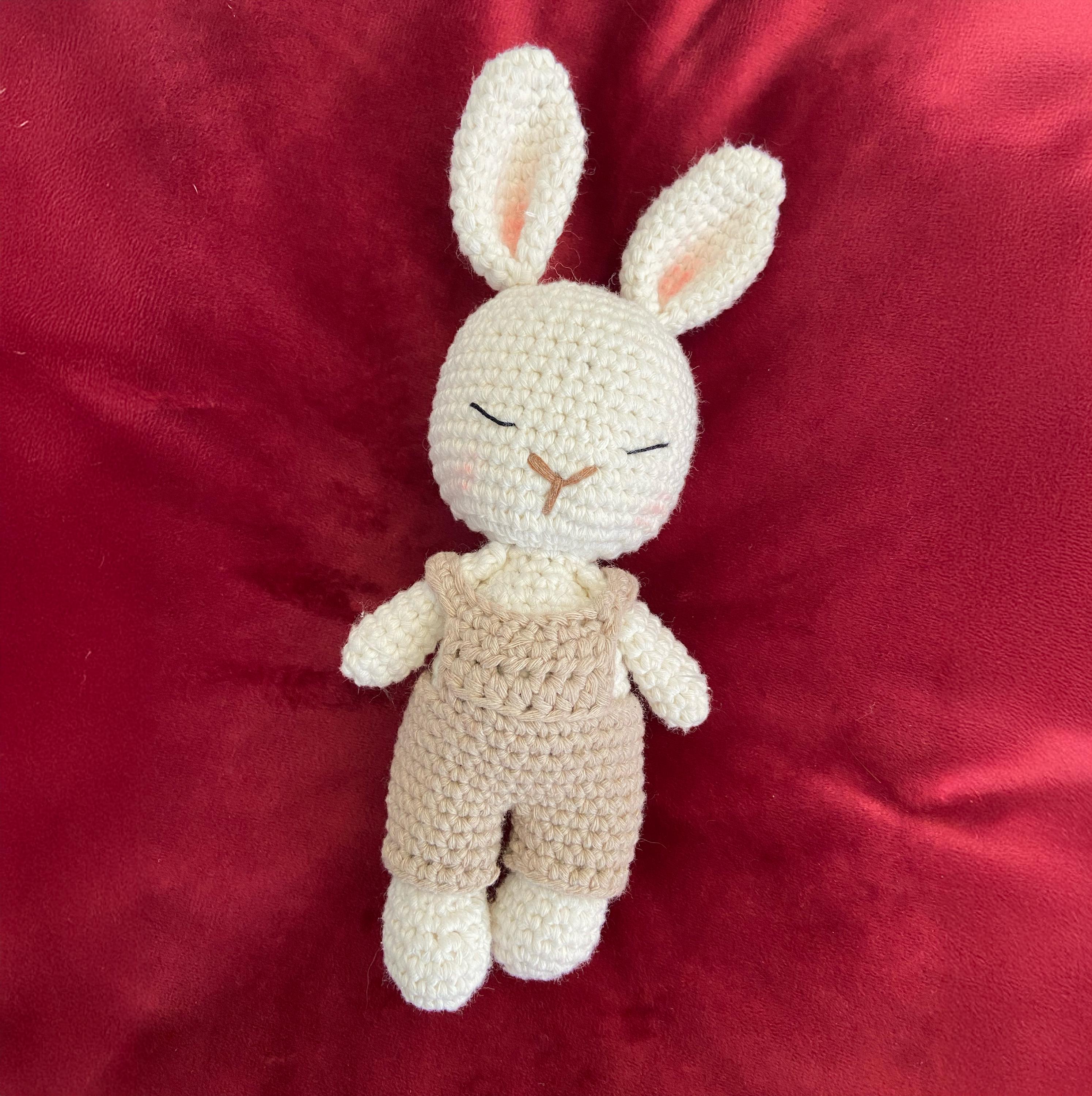 Amigurumi Häschen Bubu & Mumu  ist 18 cm groß. Bio-Baumwolle, Kuscheltier, Stofftier,Geschenk Babyspielzeug oder einfach süßer Begleiter.