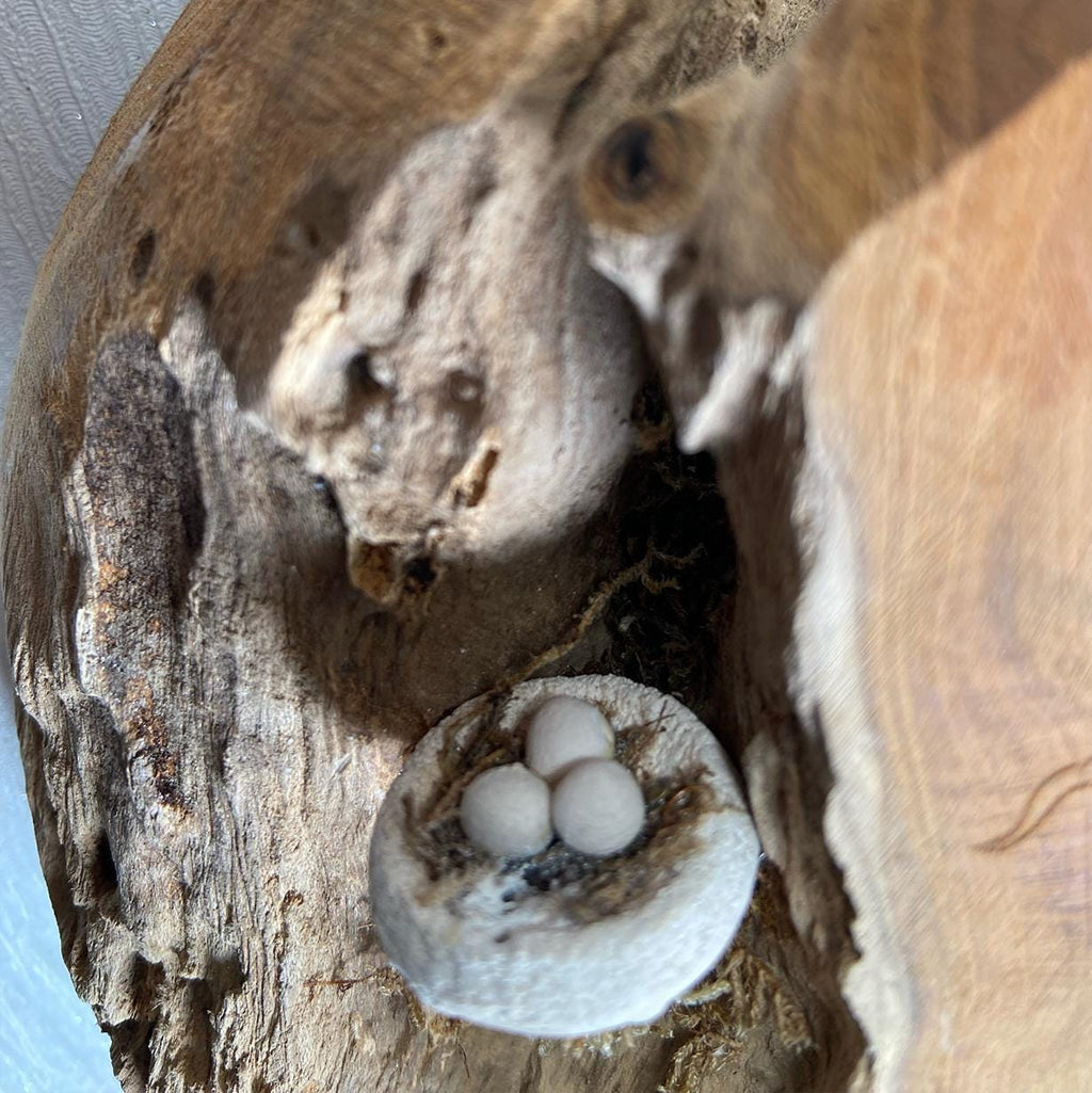 Herzdeko aus Teakholz mit handgefertigtem Leuchtturm & Vogelhaus – LED-Wanddeko maritim – Unikat Geschenk